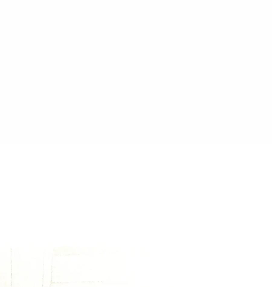 《虽然是魂穿游戏世界里女主的姐粉》78 来龙去脉 第26页