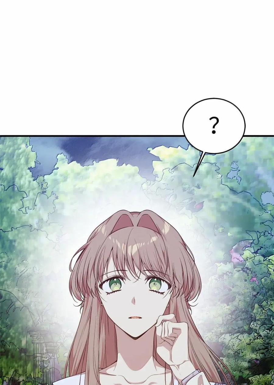 《虽然是魂穿游戏世界里女主的姐粉》79 身不由己 第111页