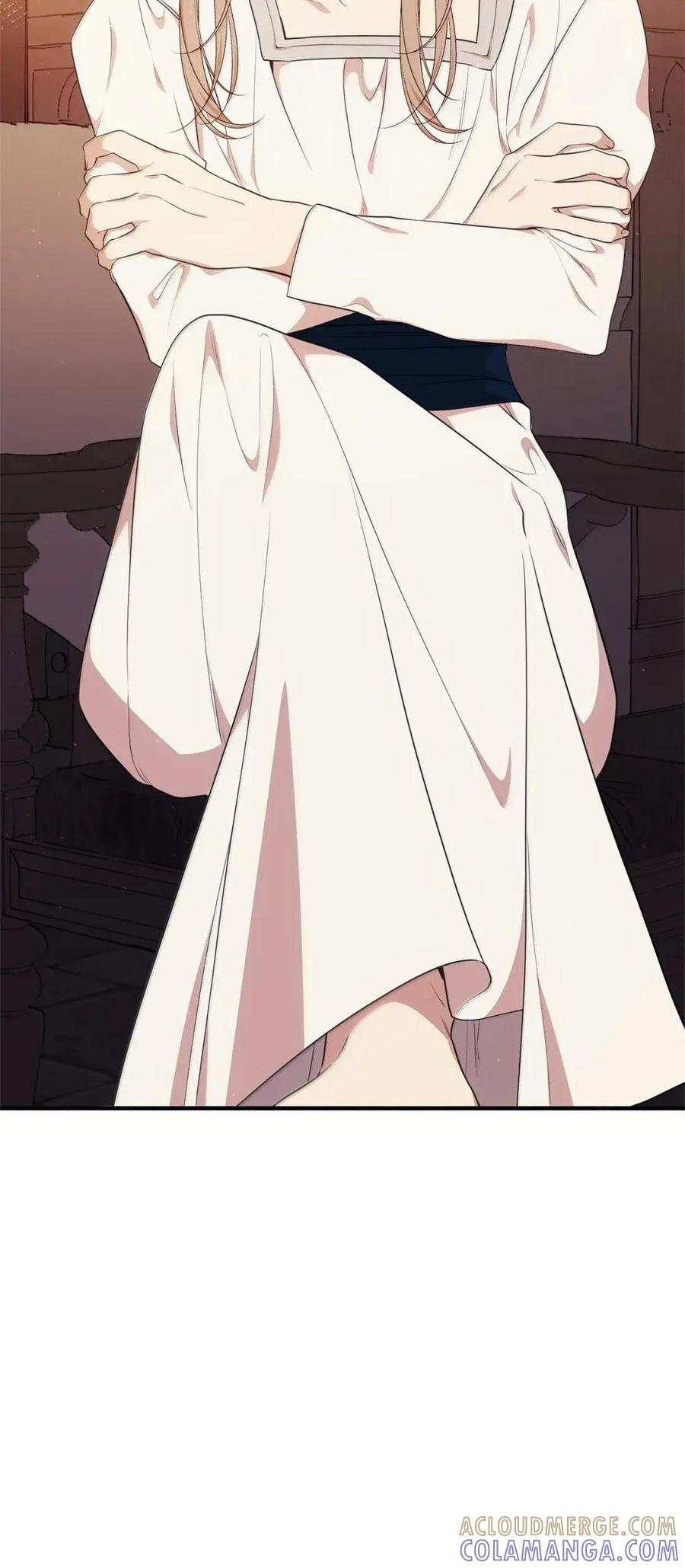 《虽然是魂穿游戏世界里女主的姐粉》79 身不由己 第21页