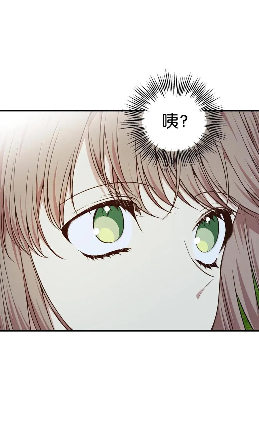 《虽然是魂穿游戏世界里女主的姐粉》79 身不由己 第96页