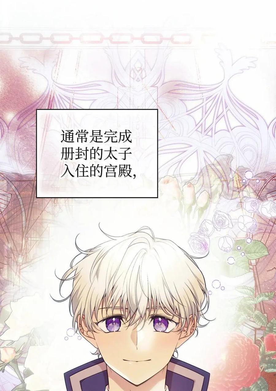 《虽然是魂穿游戏世界里女主的姐粉》79 身不由己 第42页