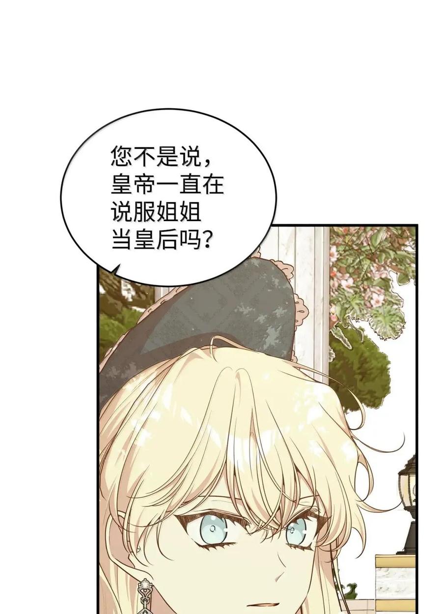 《虽然是魂穿游戏世界里女主的姐粉》82 确定计划 第74页