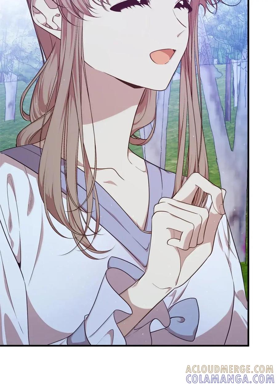 《虽然是魂穿游戏世界里女主的姐粉》82 确定计划 第13页