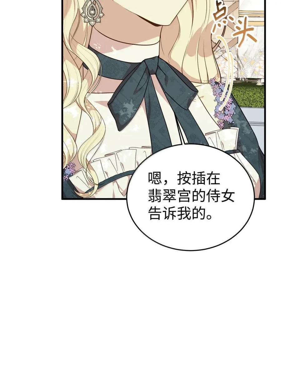 《虽然是魂穿游戏世界里女主的姐粉》82 确定计划 第75页