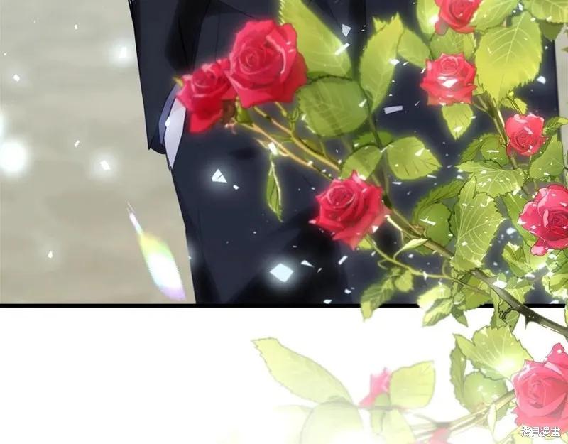 《明明是冷美人小姐却变成了忠犬大少爷》第76话 第203页