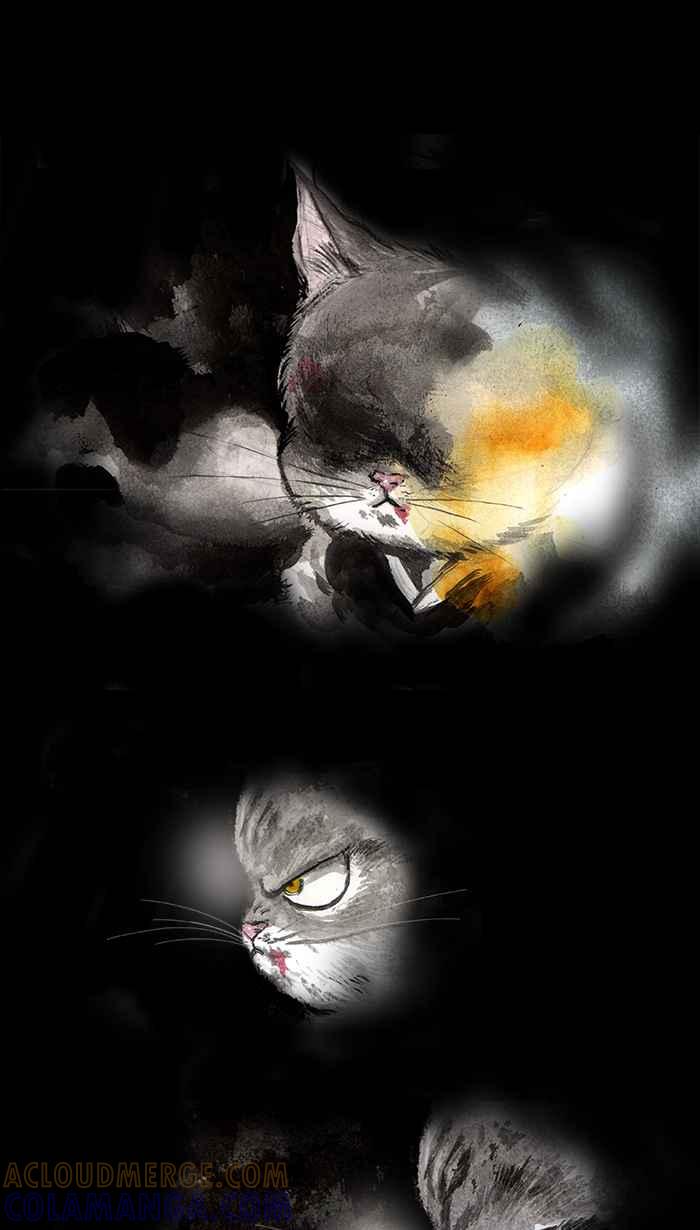 猫剑客 [第21话] 出路 第25页