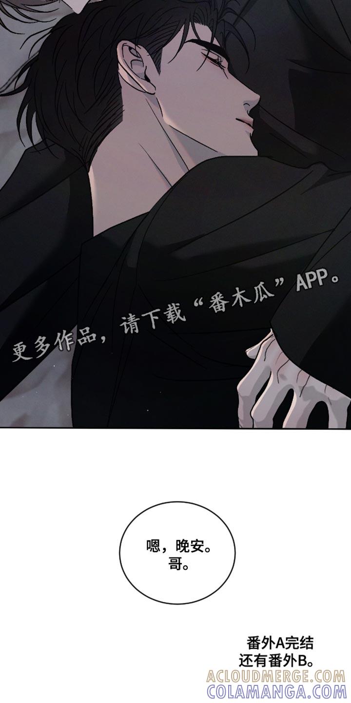 《危险建议》第168章：【番外】珍贵的回忆 第37页