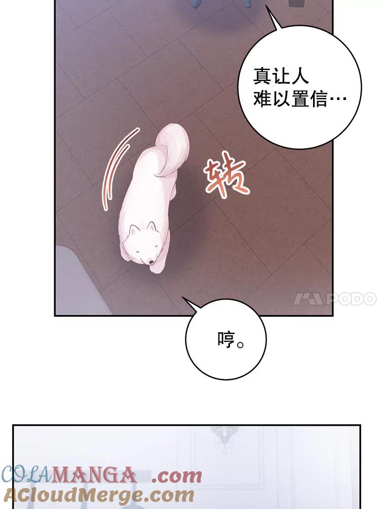 只需轻握我的手 15.雪白的狗 第81页