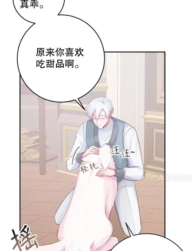 只需轻握我的手 15.雪白的狗 第94页