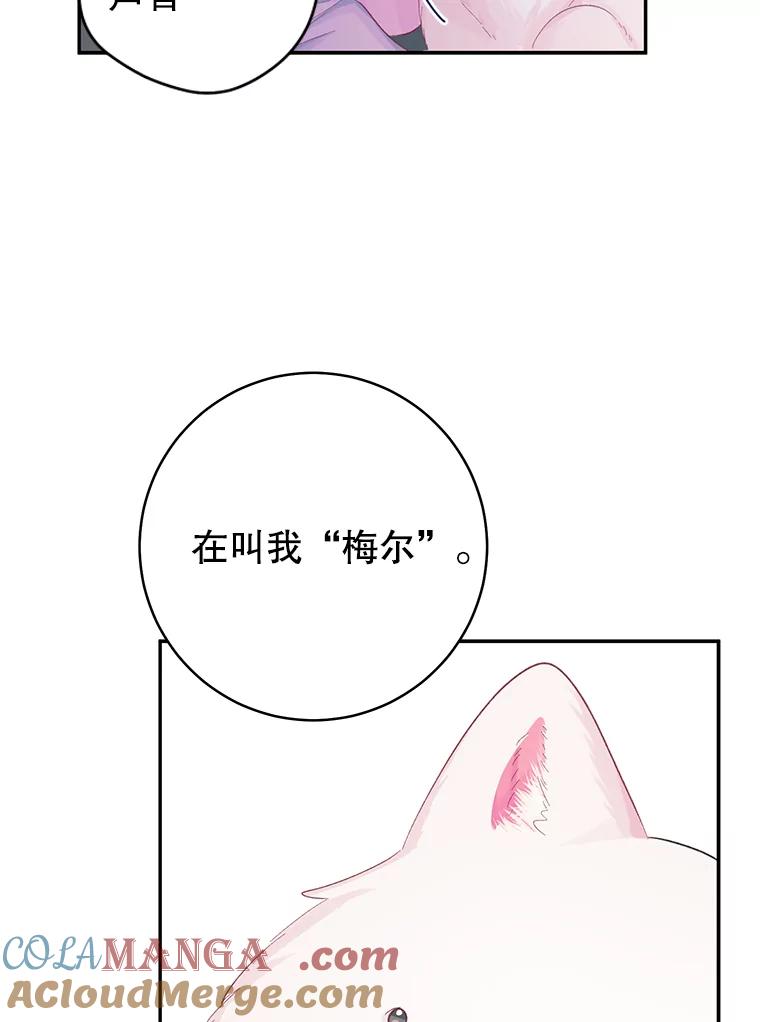 只需轻握我的手 16.雪 第5页