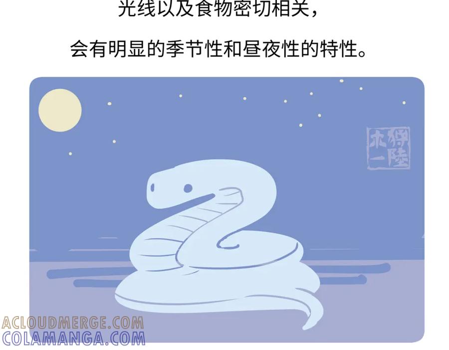 《胖达x胖达》第250话 第23页