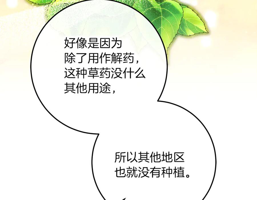 不幸的骑士，请和姐姐恋爱吧 - 第二季完结篇 我不喜欢你 - 第167张图