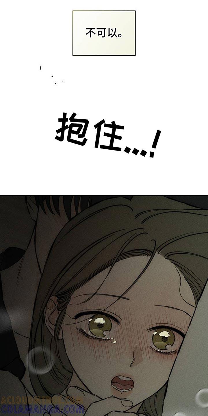 枯萎的花伤心的泪 第62章：神志不清 第11页
