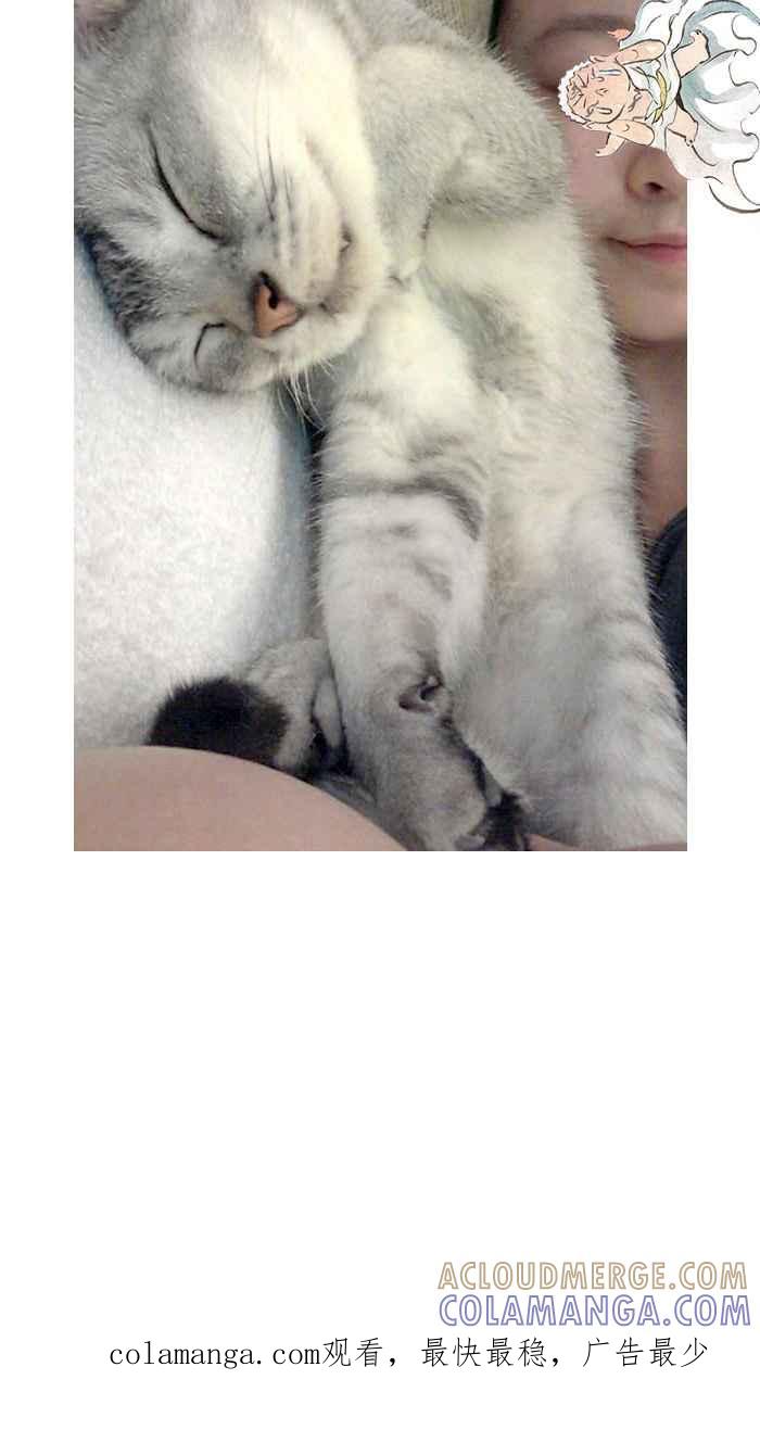 猫剑客 [第74话] 折翼天使 拾柒，神与人 第33页
