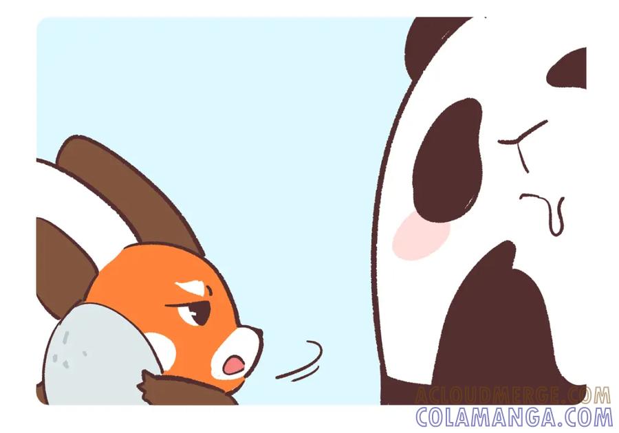 《胖达x胖达》第268话 第3页