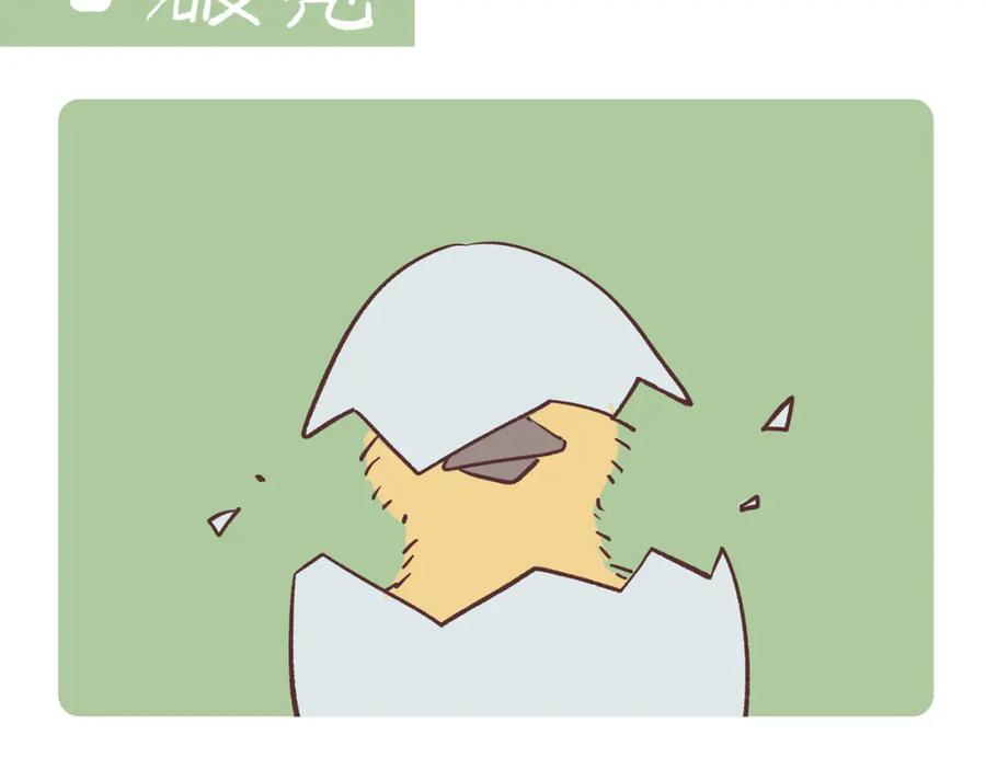 《胖达x胖达》第268话 第8页