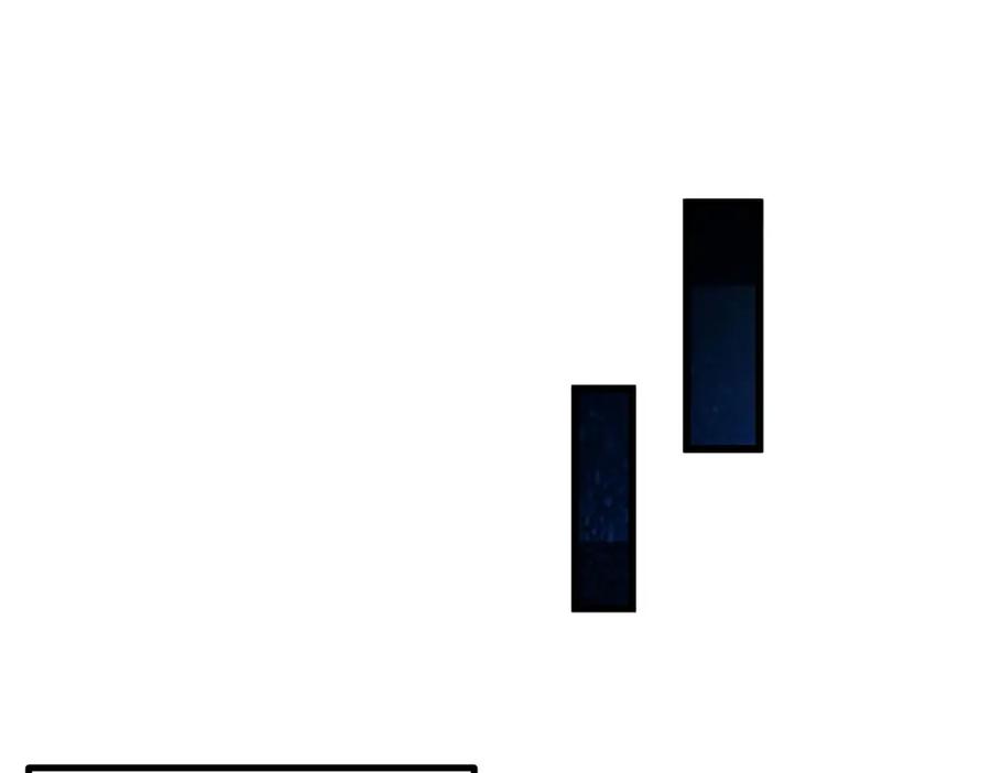 96.jpg