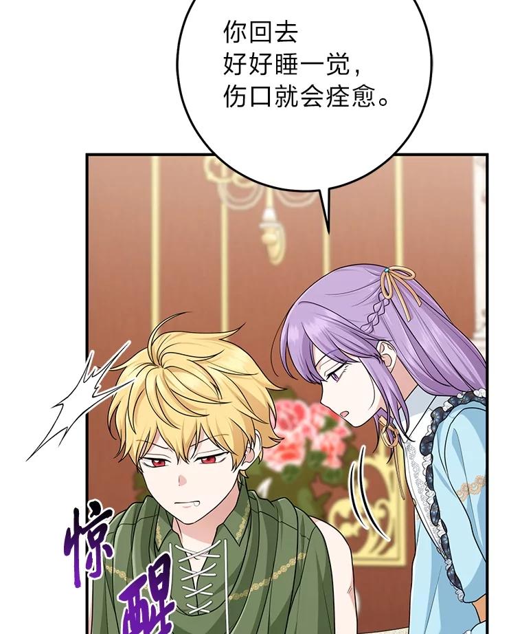 《完美演绎养女角色》65.谁来护送薇欧拉 第3页
