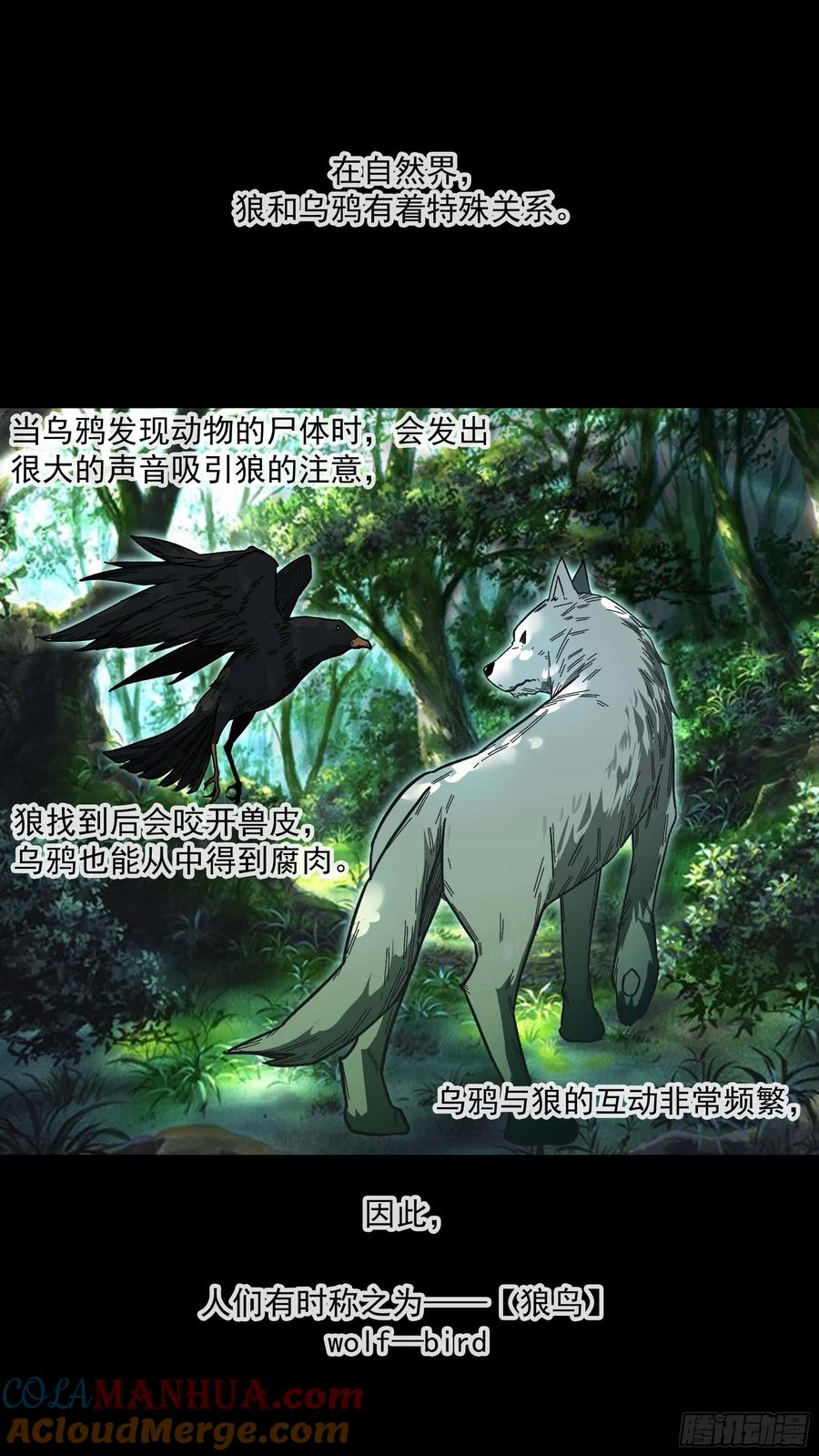 乌鸦 122 【白】042 第5页