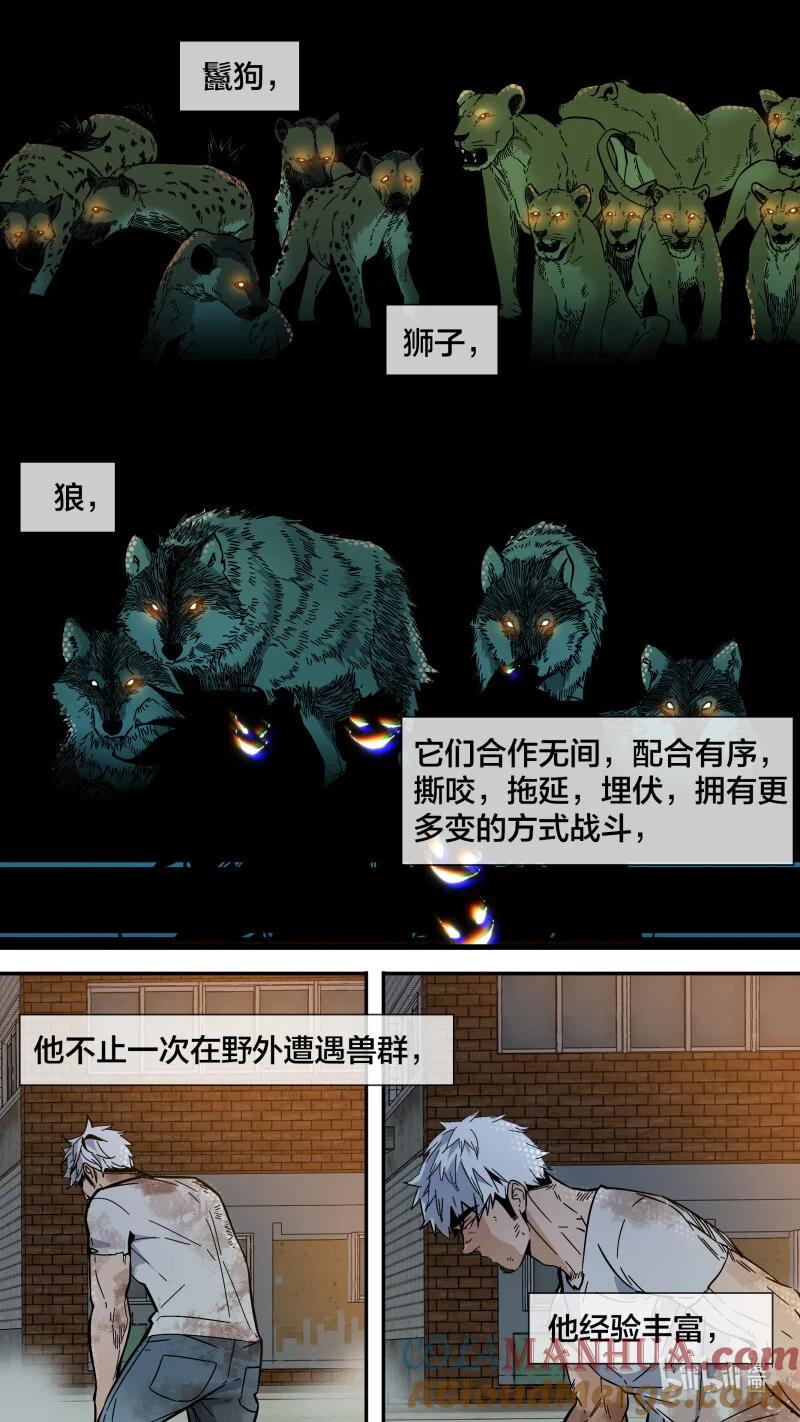 乌鸦 278 【止战之殇】006 第3页