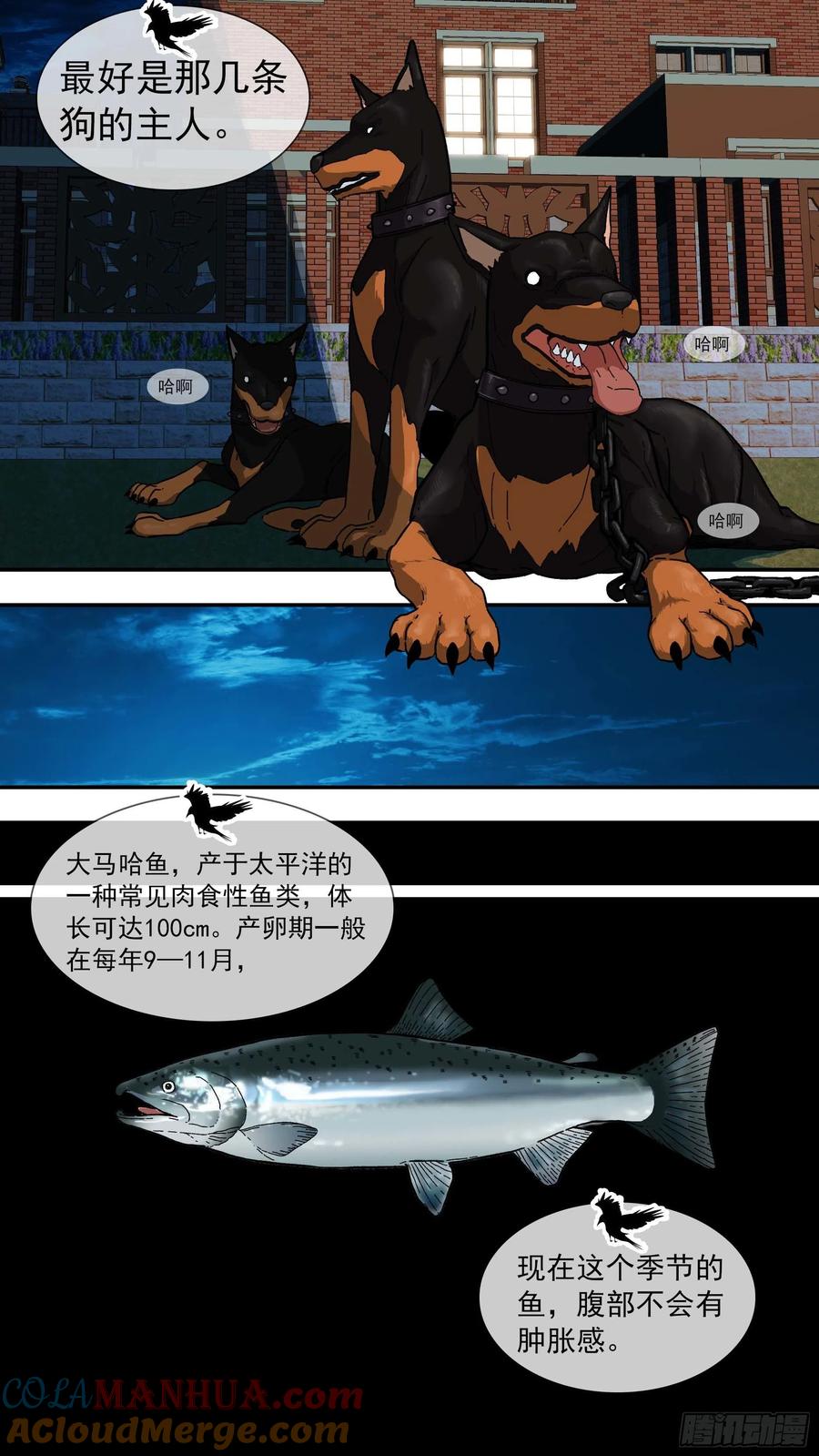 乌鸦 91 【白】011 第7页