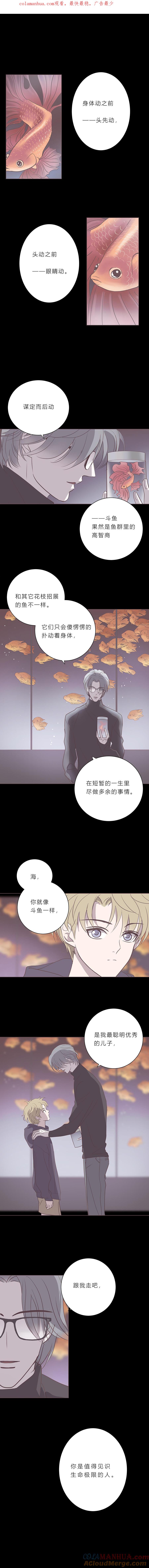 无氧之爱 - 第五十三话 普通男生 - 第1张图