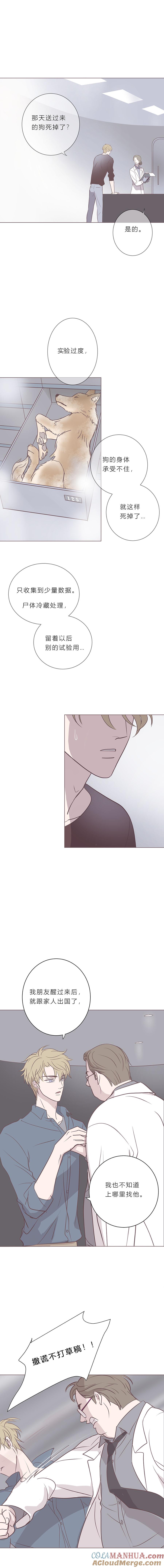 无氧之爱 - 第五十四话 普通男生 - 第7张图