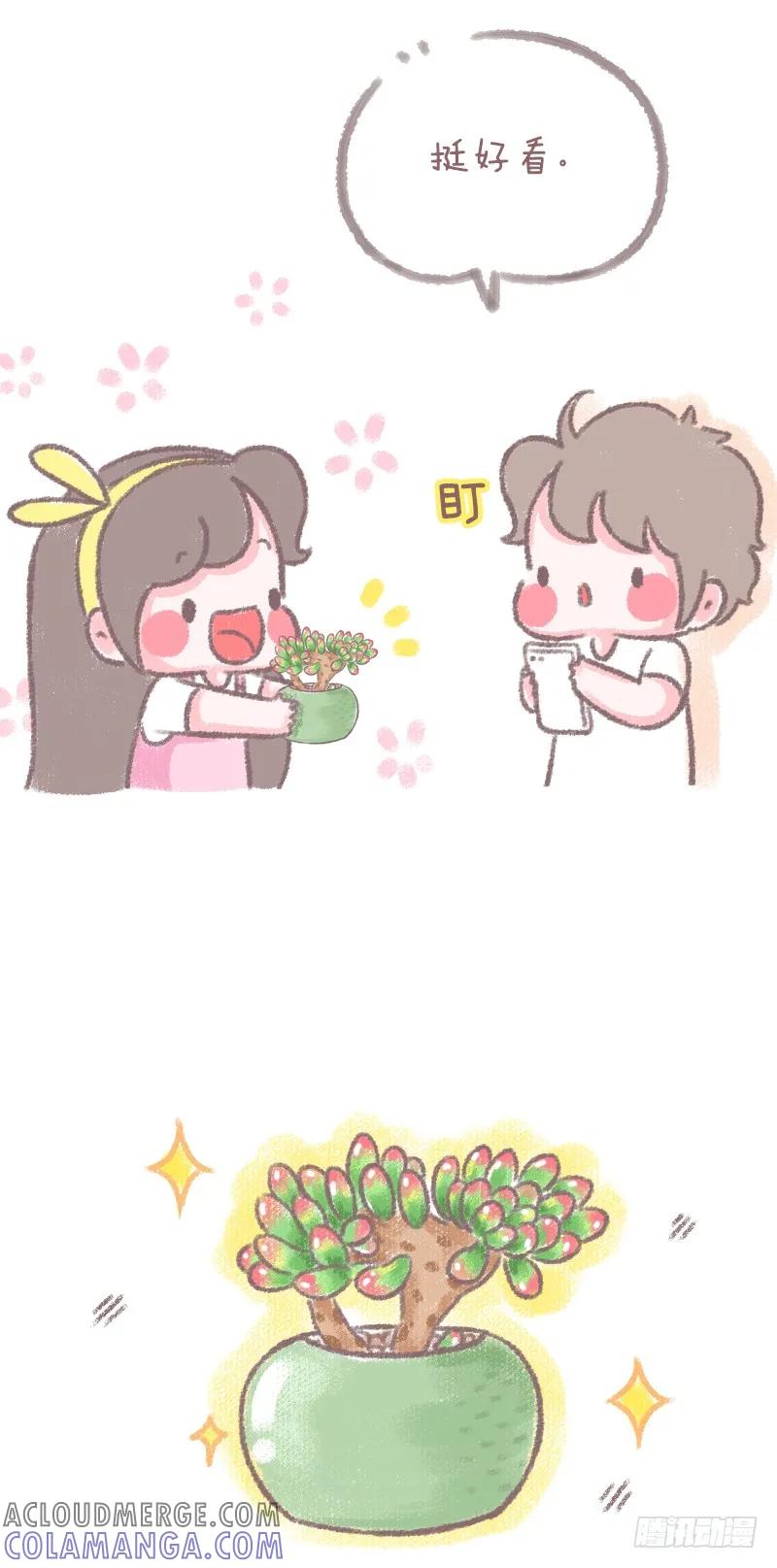 木木子漫画 养这种植物的人大都是 第2页