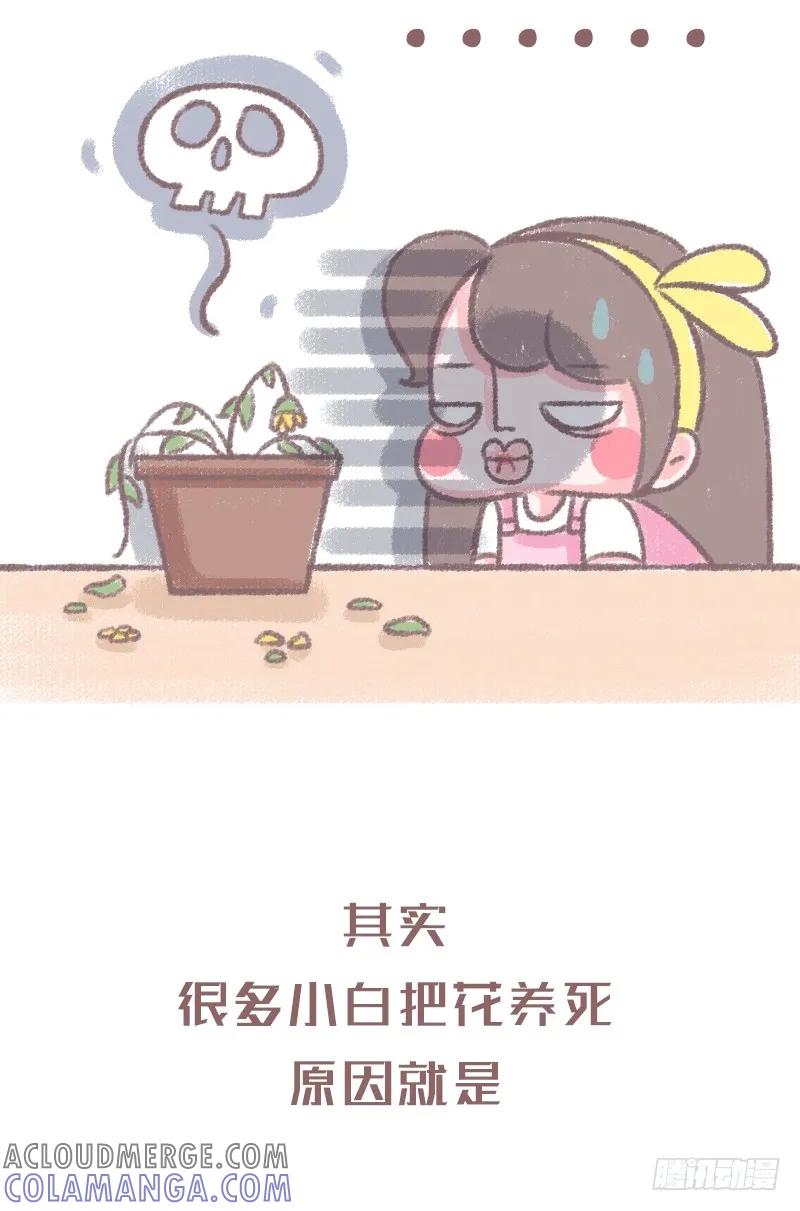 木木子漫画 浇水方法不对植物是会死的噢1 第4页