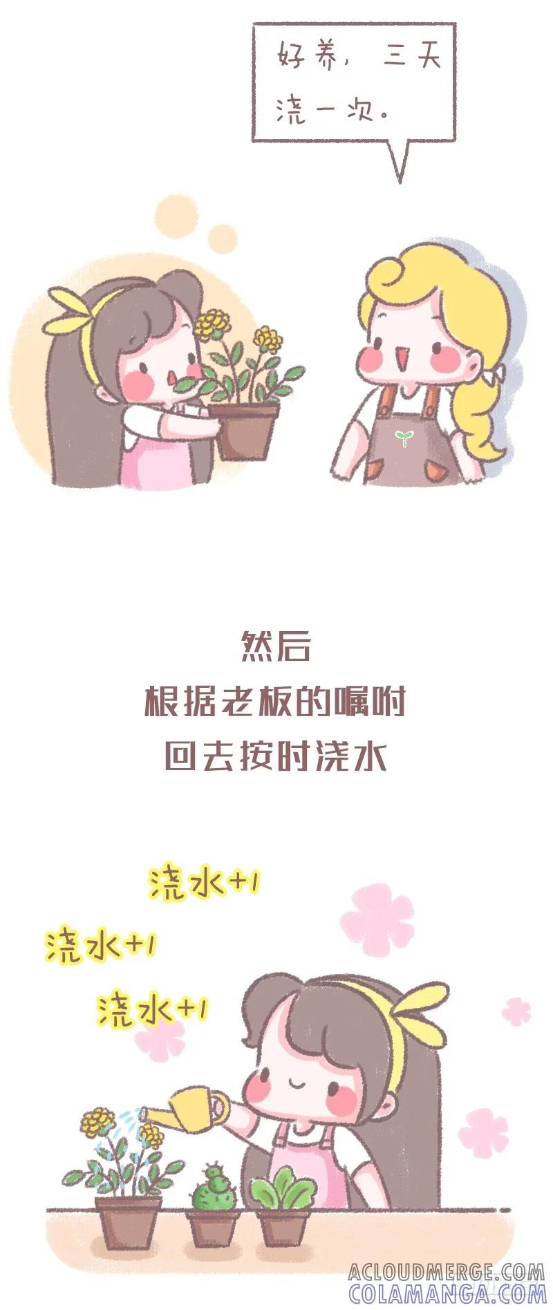 木木子漫画 浇水方法不对植物是会死的噢1 第2页