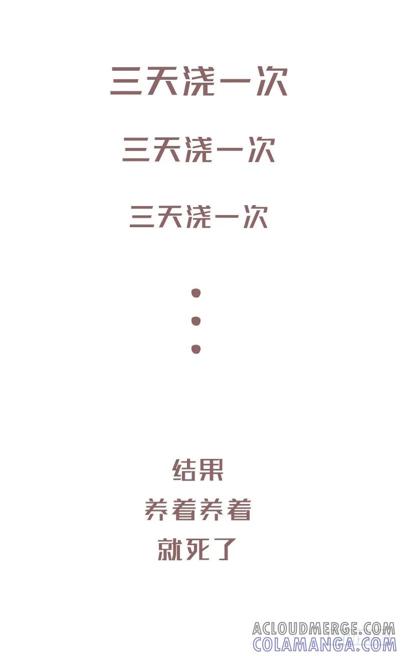木木子漫画 浇水方法不对植物是会死的噢1 第3页