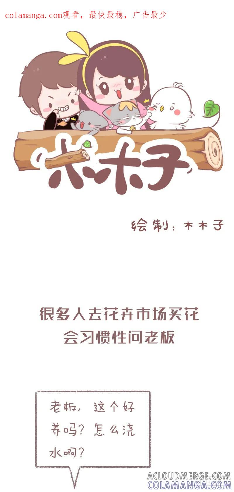木木子漫画 浇水方法不对植物是会死的噢1 第1页
