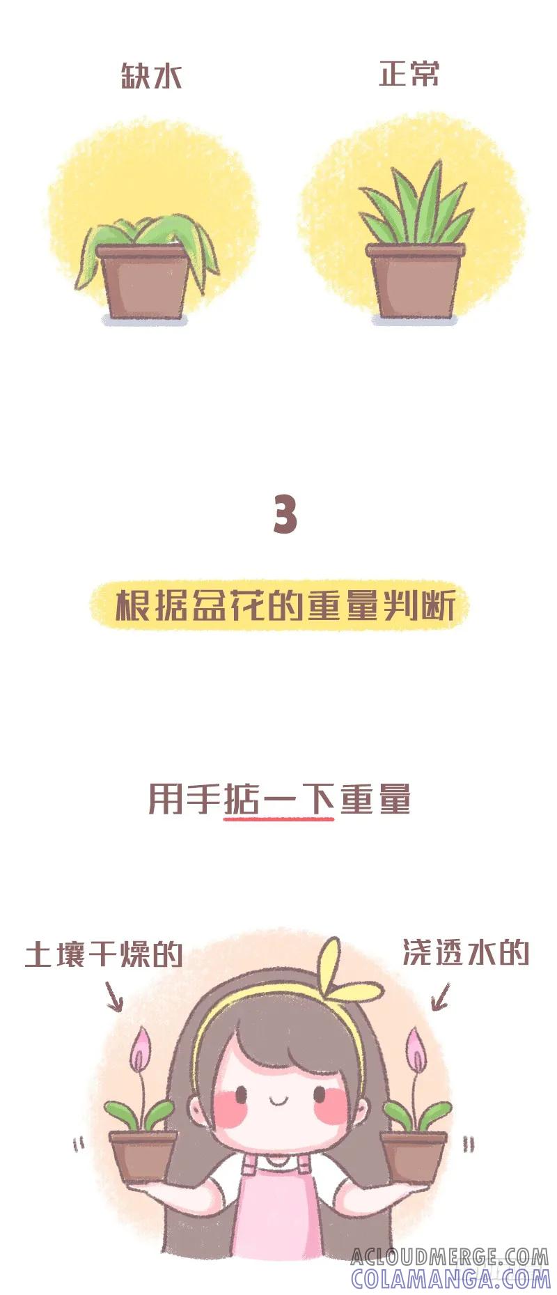 木木子漫画 浇水方法不对植物是会死的噢2 第3页