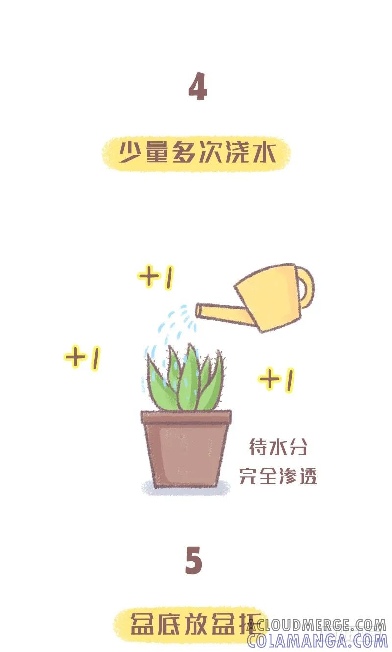 木木子漫画 浇水方法不对植物是会死的噢2 第4页