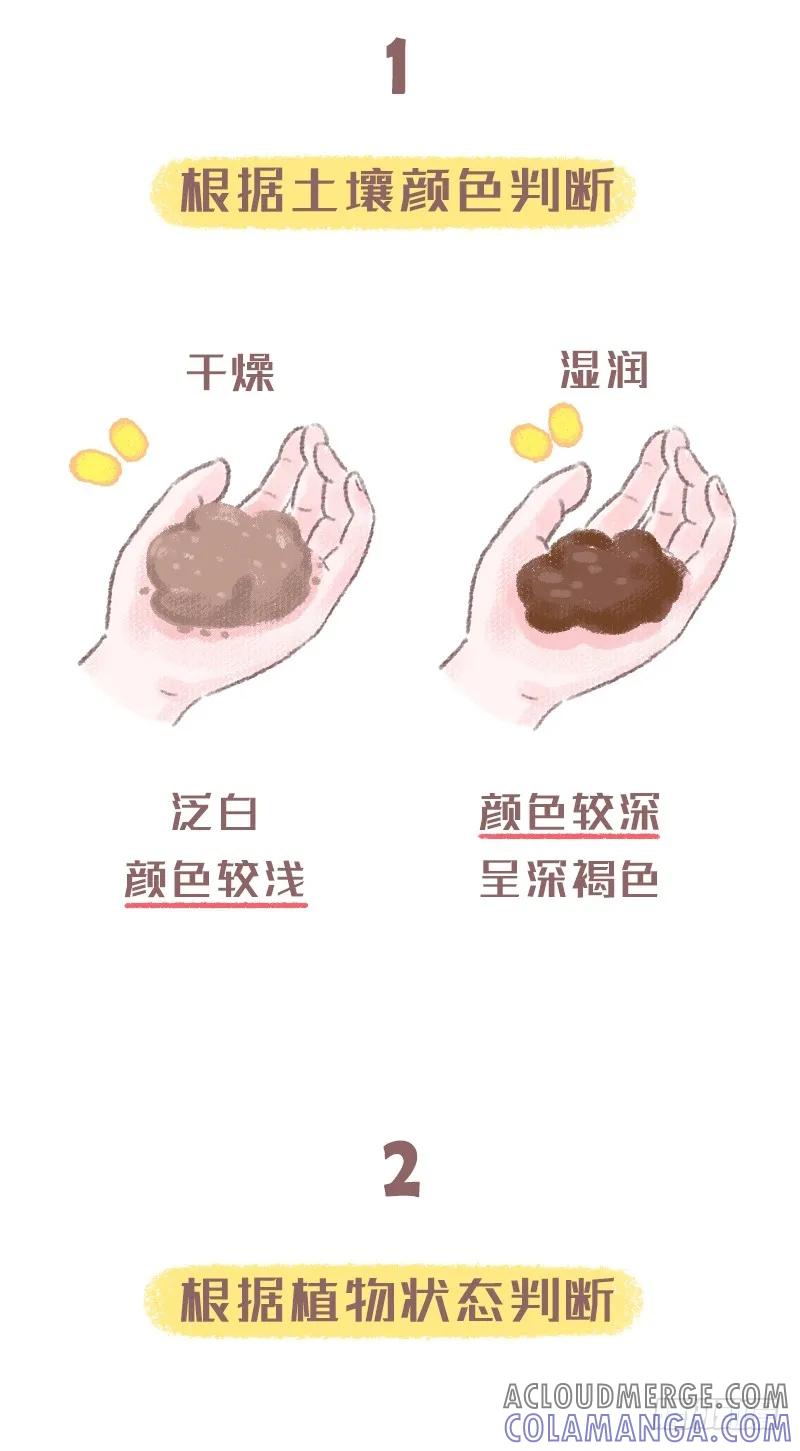 木木子漫画 浇水方法不对植物是会死的噢2 第2页