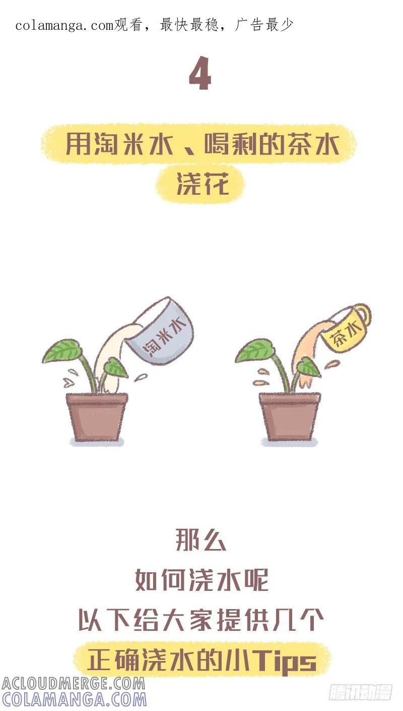 木木子漫画 浇水方法不对植物是会死的噢2 第1页