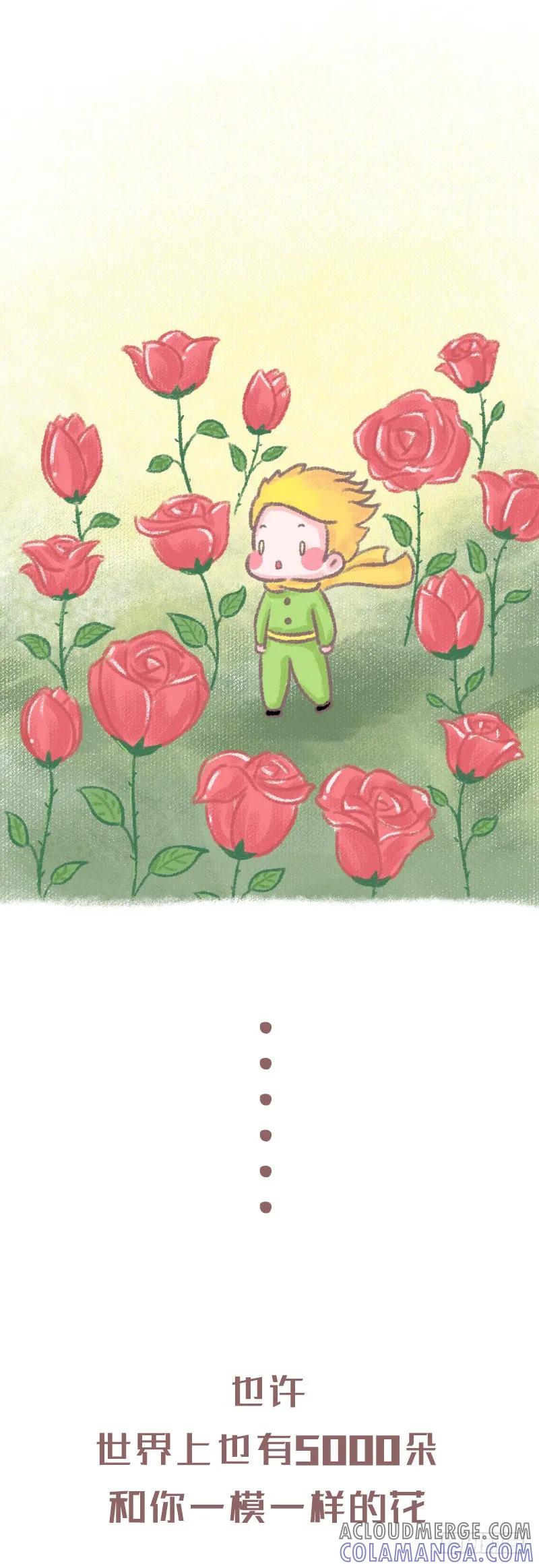 木木子漫画 小王子与玫瑰花1 第3页