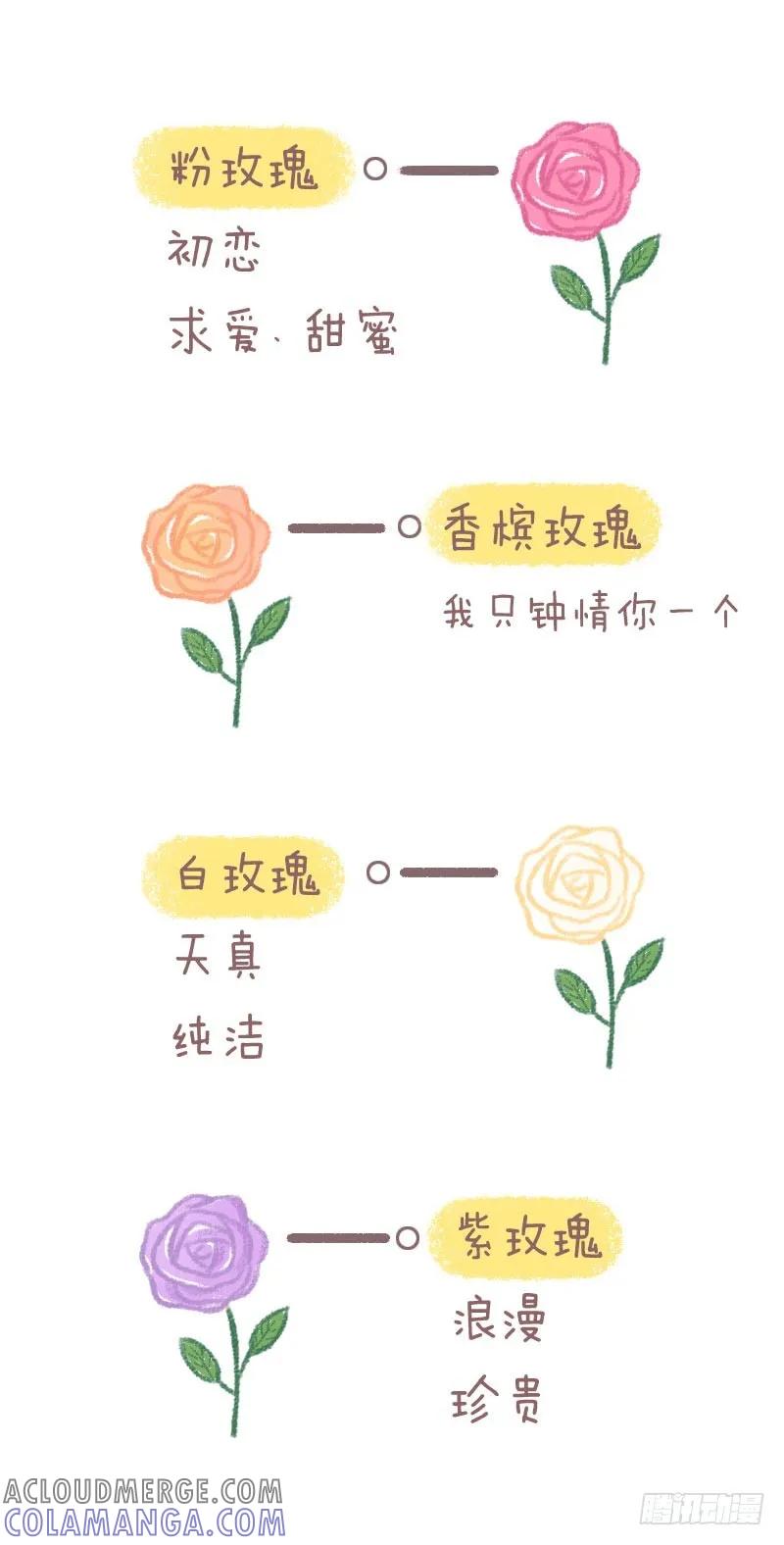 木木子漫画 小王子与玫瑰花2 第2页