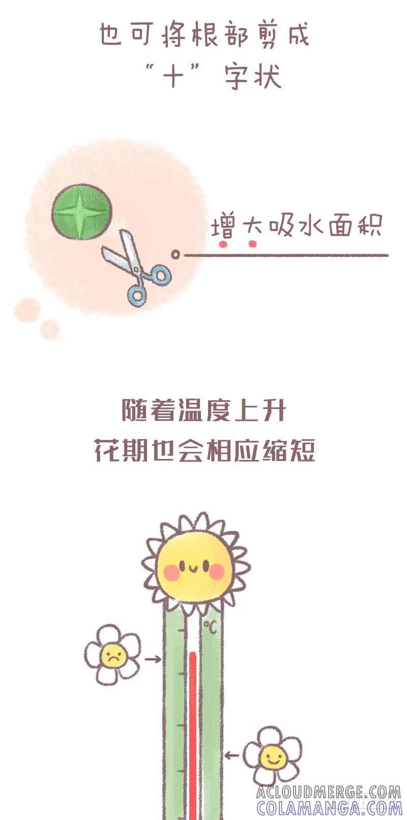 木木子漫画 鲜花养护小技巧 第7页