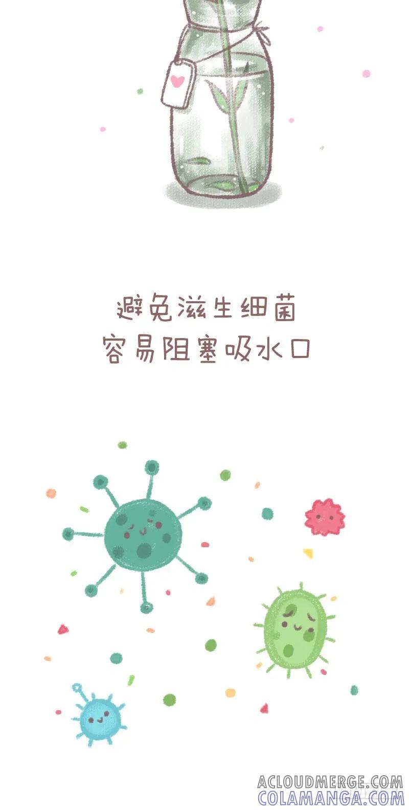 木木子漫画 鲜花养护小技巧 第5页