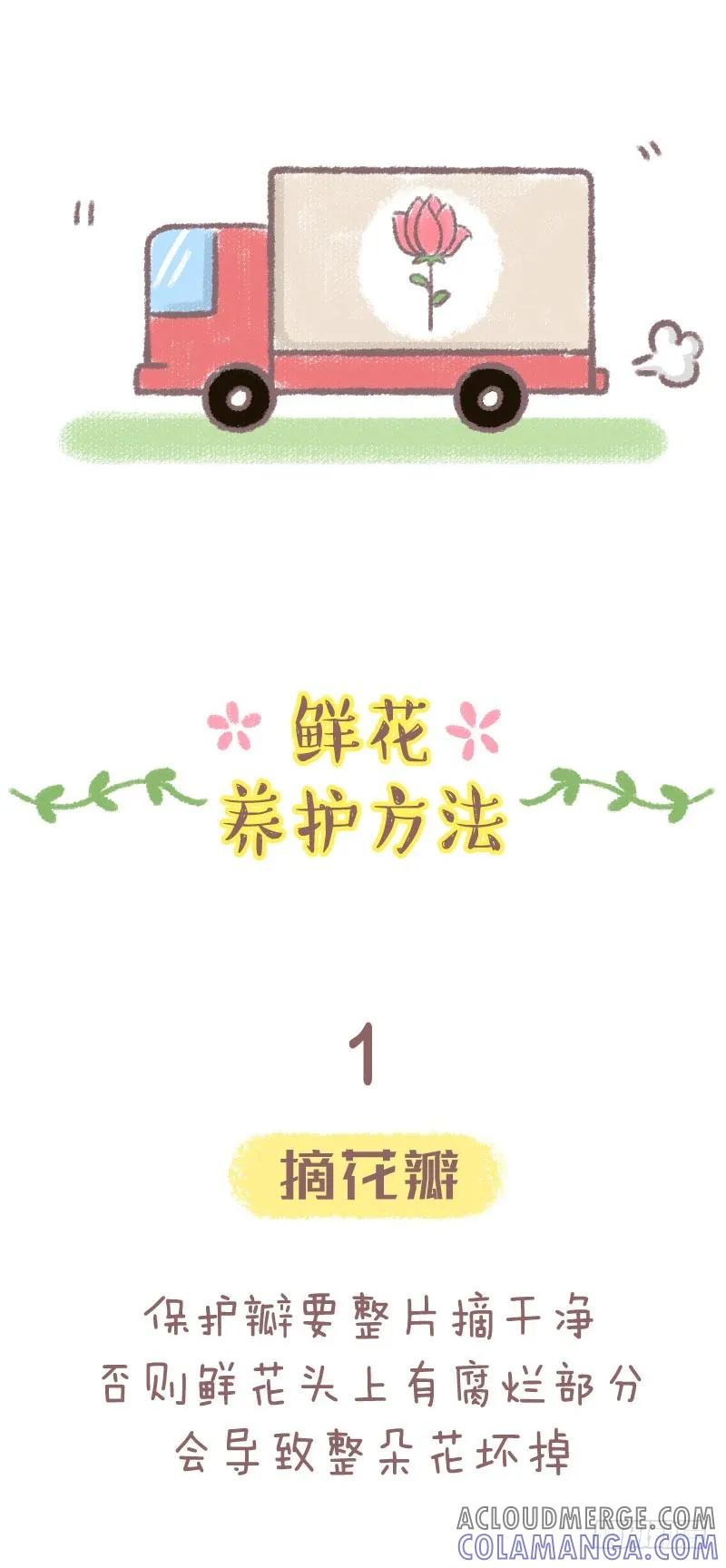木木子漫画 鲜花养护小技巧 第3页