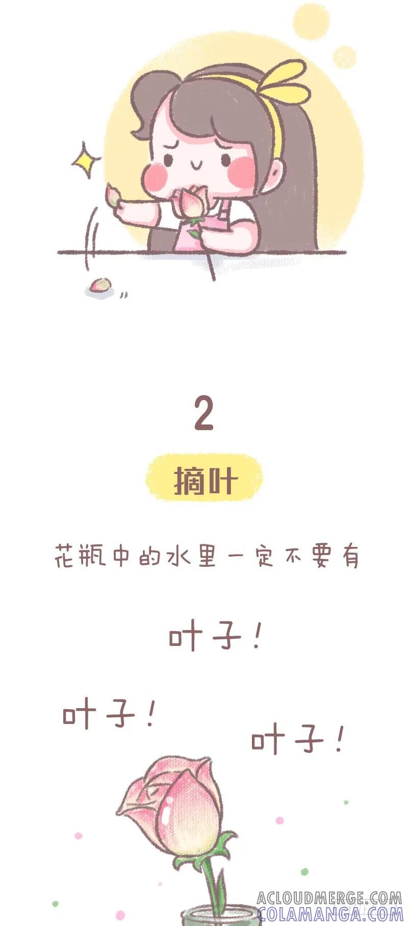 木木子漫画 鲜花养护小技巧 第4页