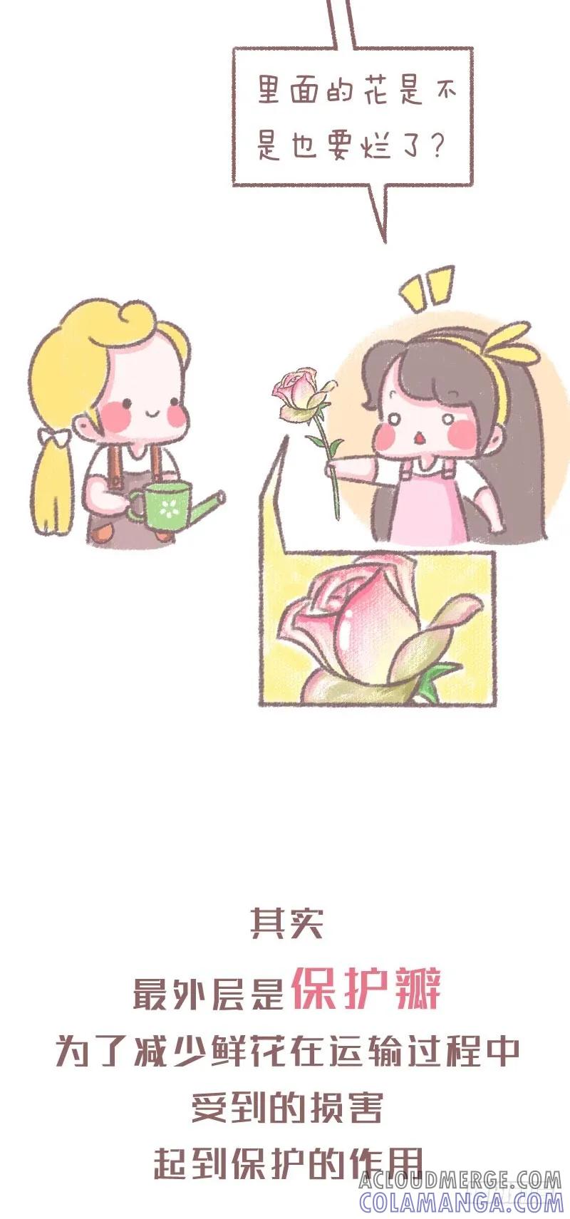 木木子漫画 鲜花养护小技巧 第2页