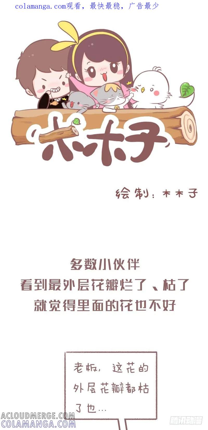 木木子漫画 鲜花养护小技巧 第1页