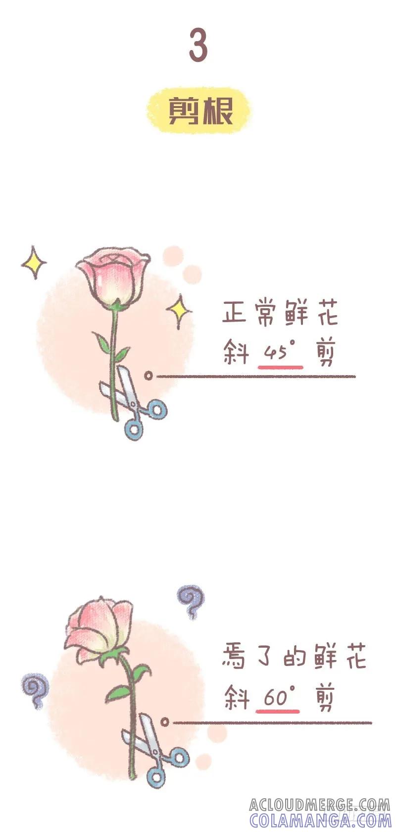 木木子漫画 鲜花养护小技巧 第6页