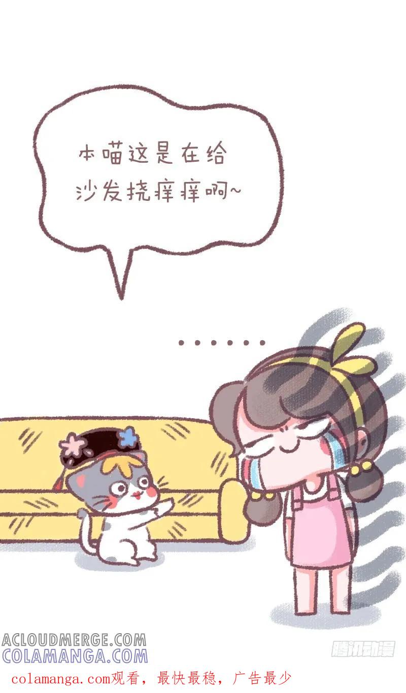 木木子漫画 千万别让你家猫和男朋友看这部剧1 第6页