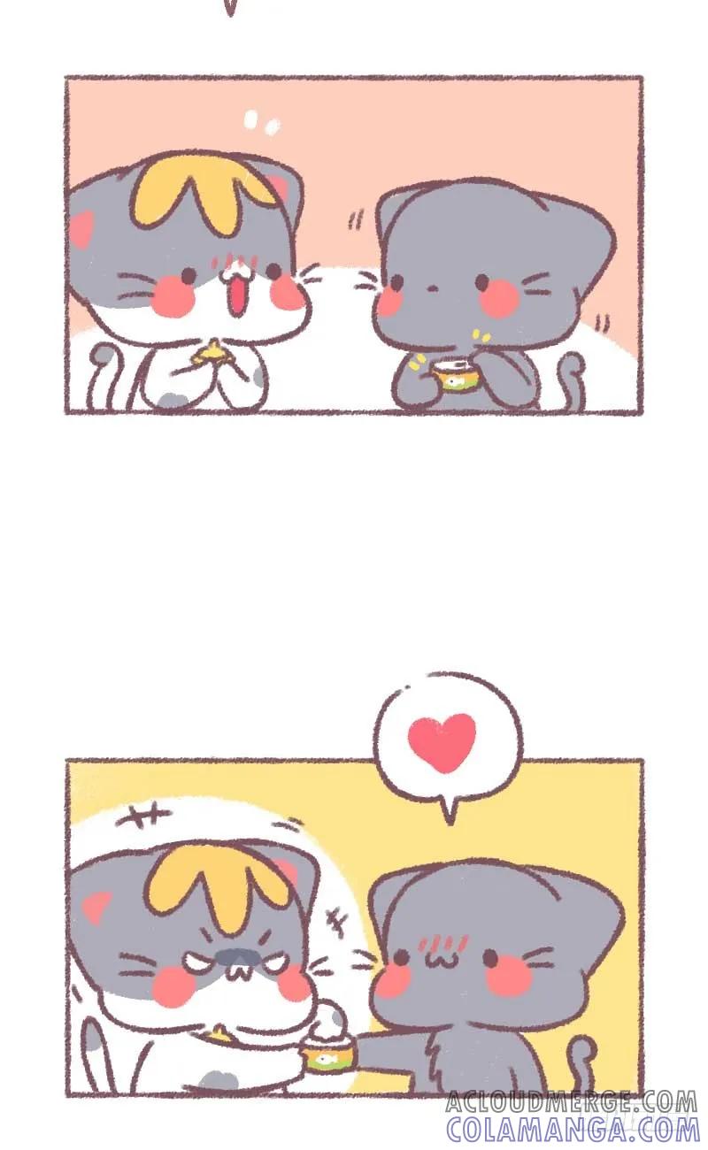 木木子漫画 2018.09.28都说养猫的人 第2页