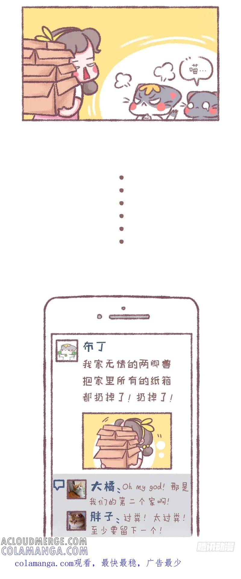 木木子漫画 论猫与纸箱的关系 第4页