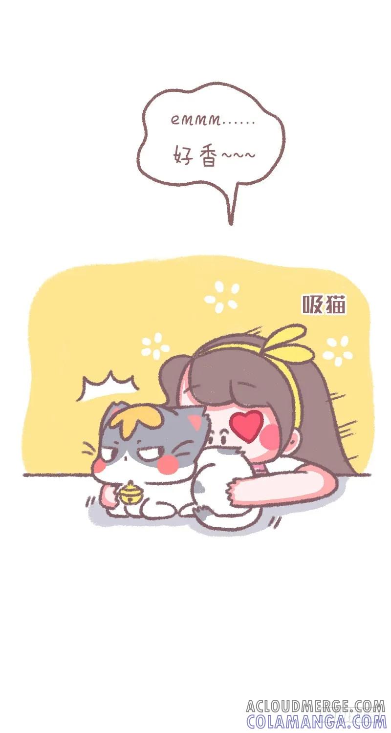 木木子漫画 被一只猫嫌弃 第2页