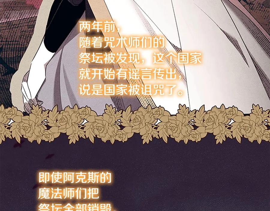 奶萌魔力小公主 番外4 爸爸不会结婚的 第120页